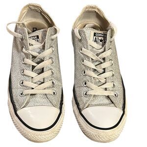 Converse All Star Unisex Silver Sparkle Sneakers